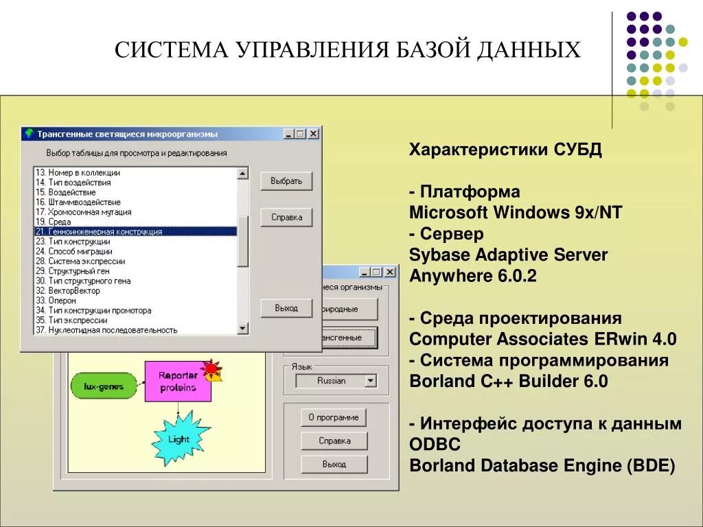 Приложение для управления базами данных. Система управления базами. Характеристики СУБД. Программы управления базами данных. Интерфейс СУБД.