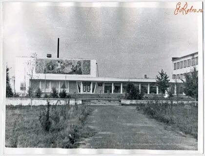 Пту 1980 год