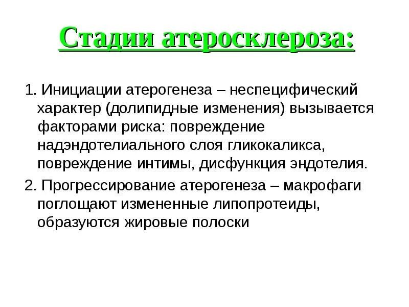 3 стадии атеросклероза. Инициация атеросклероза.