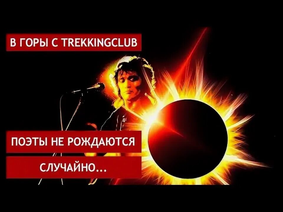 Поэты не рождаются случайно. Поэты не рождаются случайно слушать. Поэты не рождаются случайно они летят на землю с высоты картинка. Тальков. Поэты не рождаются случайно.