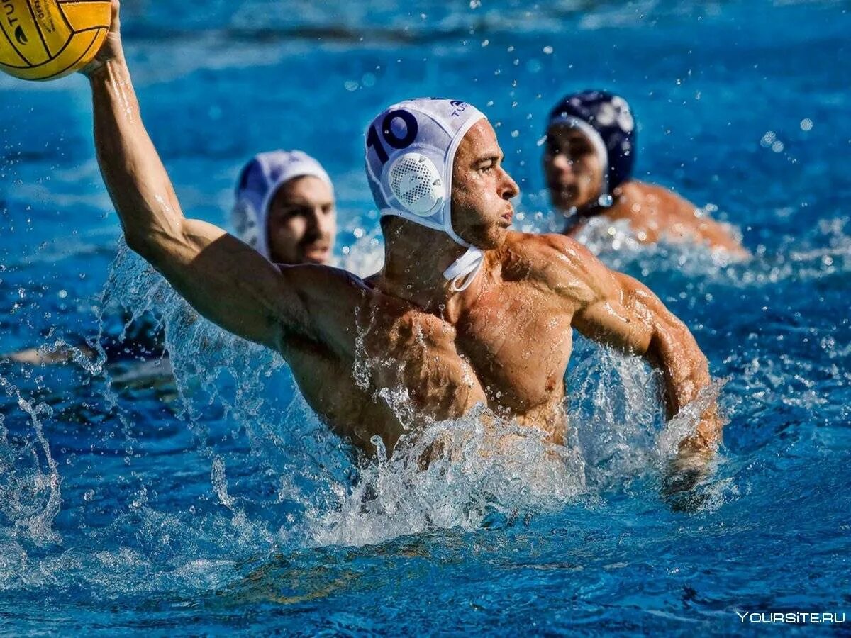 Купить водное поло. Водное поло ватерполист. Water Polo Sport.