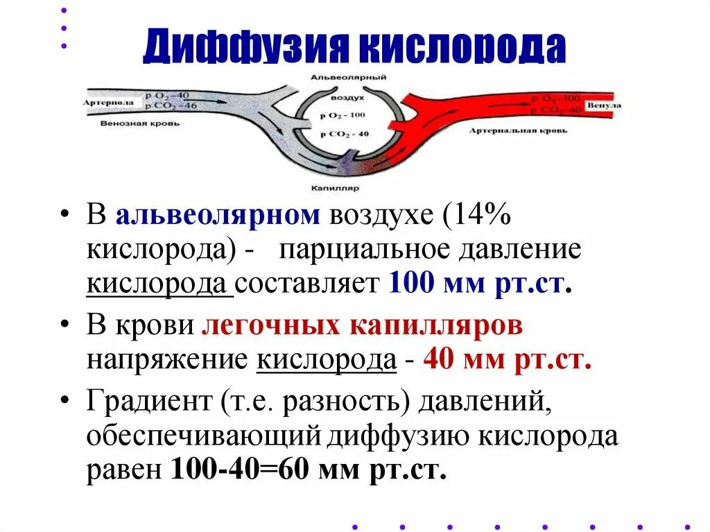 Концентрация воздуха в крови. Парциальное давление кислорода в альвеолярном воздухе. Давление кислорода в альвеолярном воздухе. Диффузия кислорода. Парциальное давление в альвеолах.