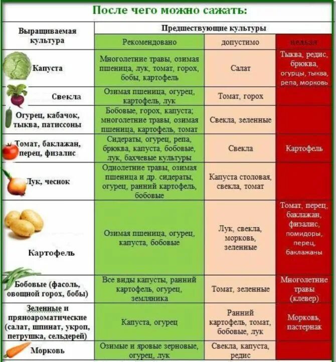 Тыква совместимость