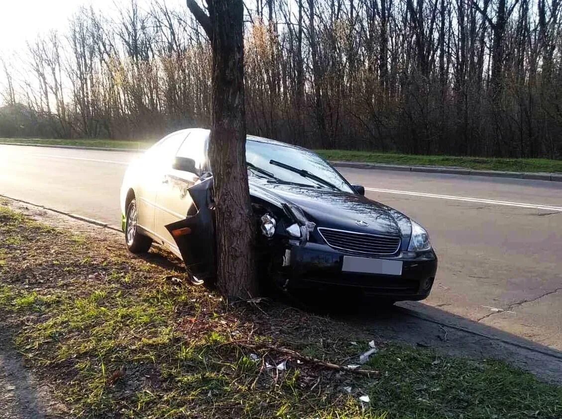 Машина врезалась в дерево. Иномарка врезалась в дерево. АВТОМОБИЛЛ ьврезался в дерево\. Машина въехала в дерево. Разбитые машины аварии