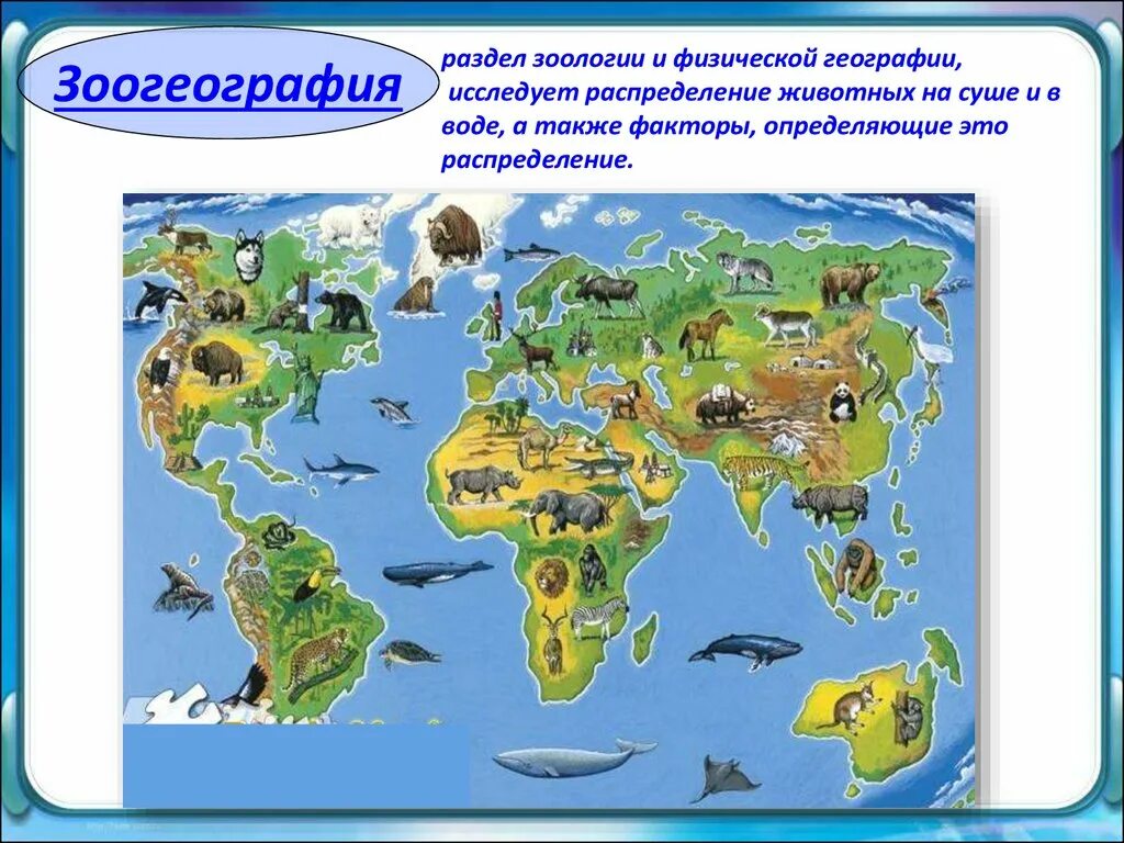 Науки о классах животных. Зоогеография животных. Зоогеография это наука о. Зоография наука о распространении животных. Карта распространения животных.