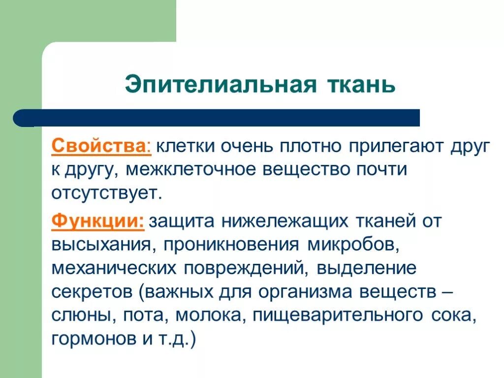 Свойства эпителиальной ткани. Характеристика эпителиальной ткани. Характеристики эпитадьноц ткани. Общая характеристика эпителиальных тканей.