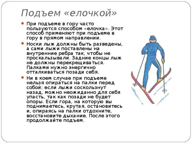 Как должен поступить лыжник. Подъем в гору на лыжах елочкой. Подъём ёлочкой на лыжах техника. Подъем в гору способом елочка на лыжах. Техника подъема на лыжах в гору елочкой.