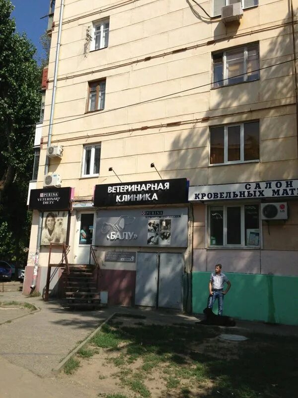 Балу на ленина ростов на дону
