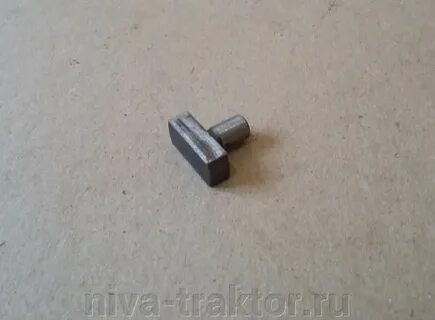 54 37