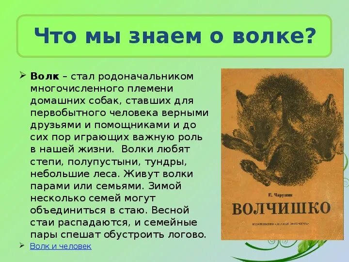 Книга е Чарушин Волчишко. Произведения Чарушина 4 класс. Отзыв о книге Волчишко Чарушин. Пересказ рассказа кабан