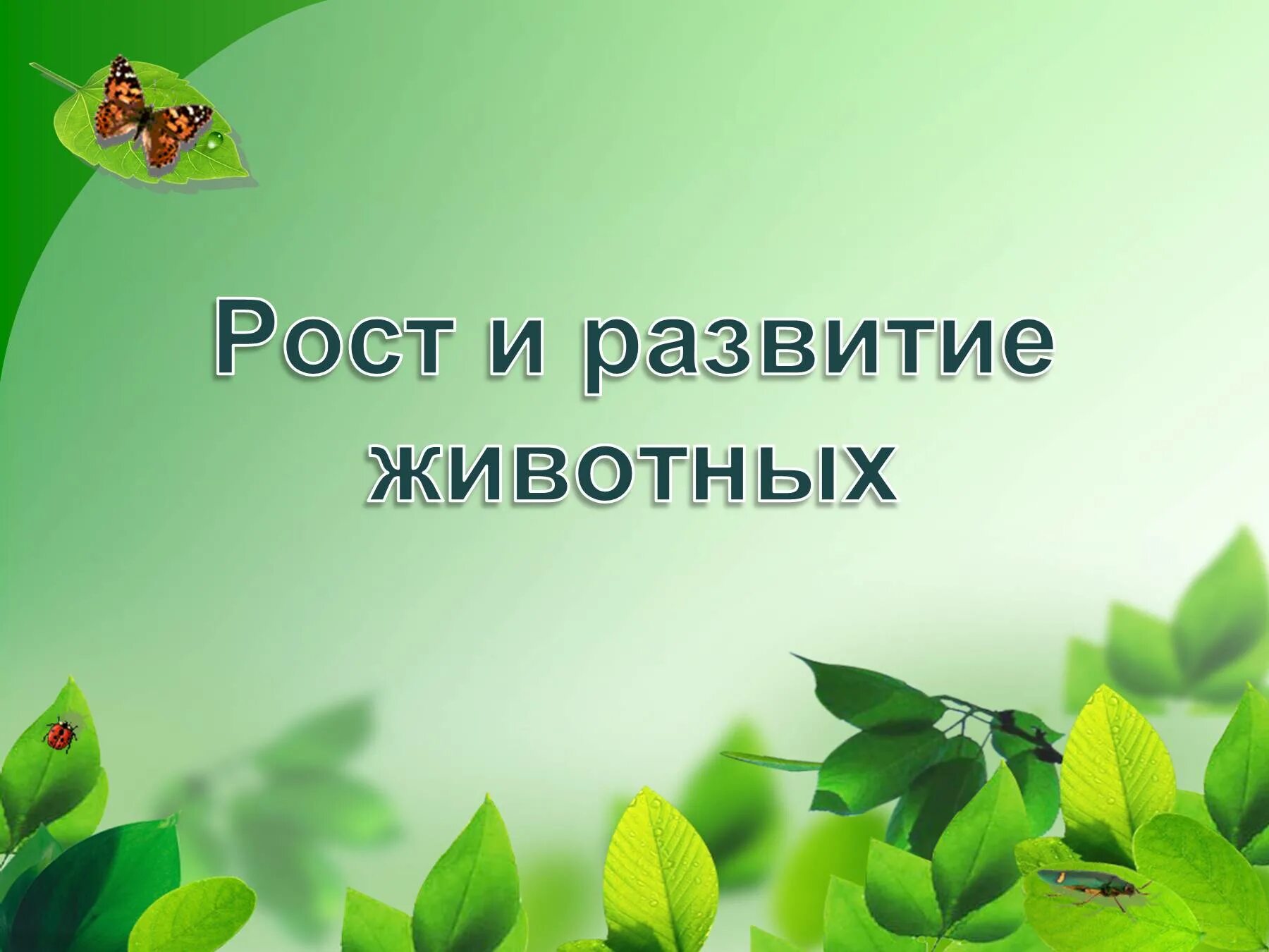 Педагогическое послание профессиональному сообществу. Проект по биологии. Технология проектной деятельности. Природное сообщество лес презентация.