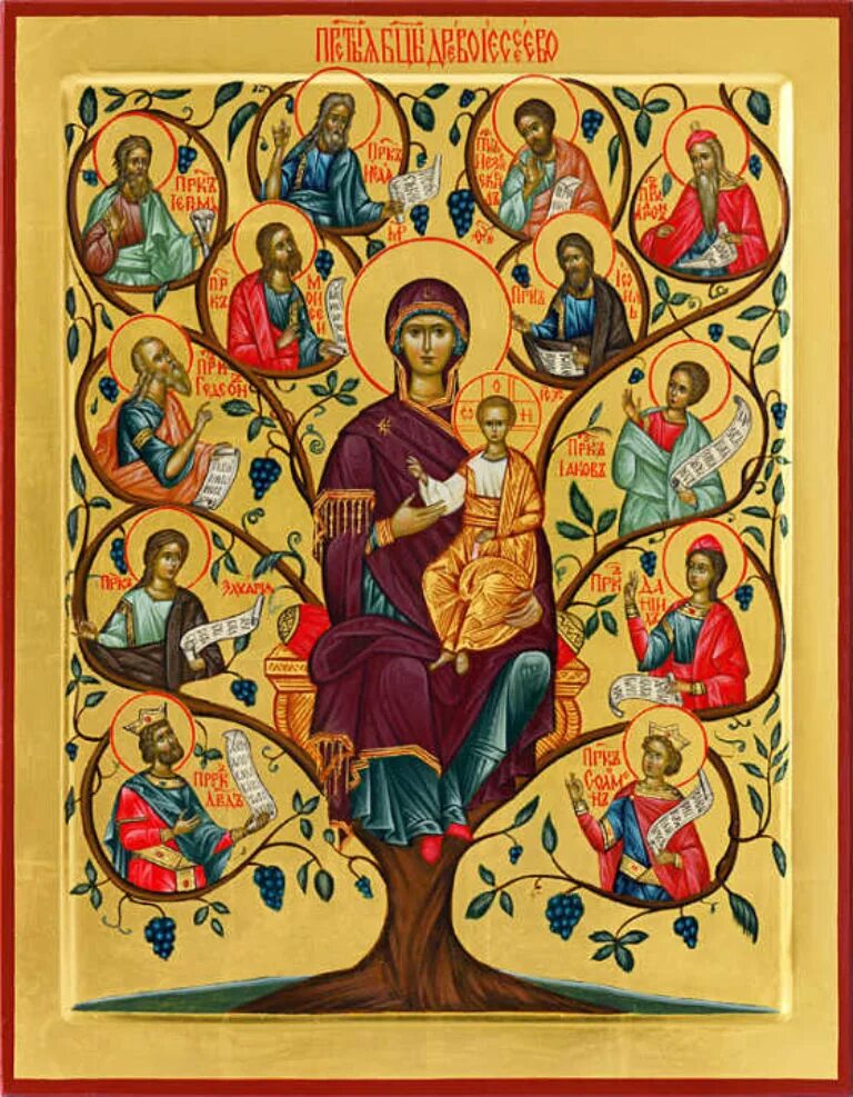 неделя святых отец. икона собор преподобных отцов. неделя святых отец перед рождеством. родословие иисуса христа ikona. икона древо иессеево (родословие иисуса христа).