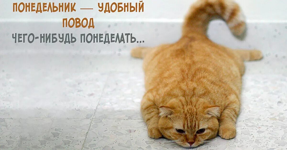 Что нибудь бесплатное