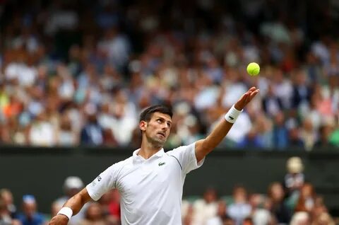 Djokovic, Barty and Federer reach Wimbledon quarter-finals in straight sets...