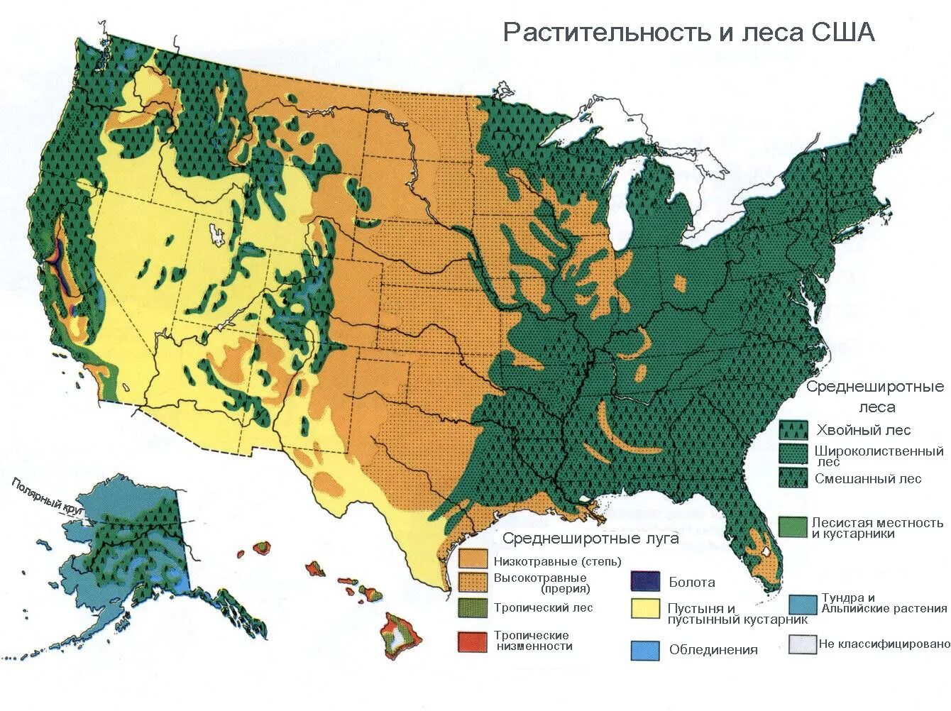 Лесные ресурсы США карта. Карта растительности США. Почвенные ресурсы США карта. Лесные ресурсы Северной Америки на карте. Главные сельскохозяйственные районы сша