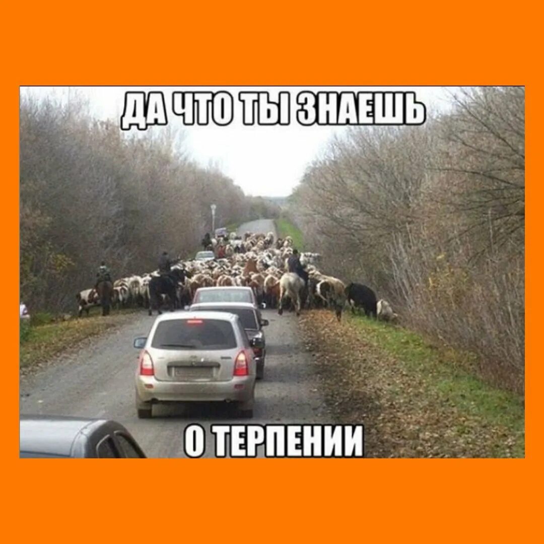 Через час доедем