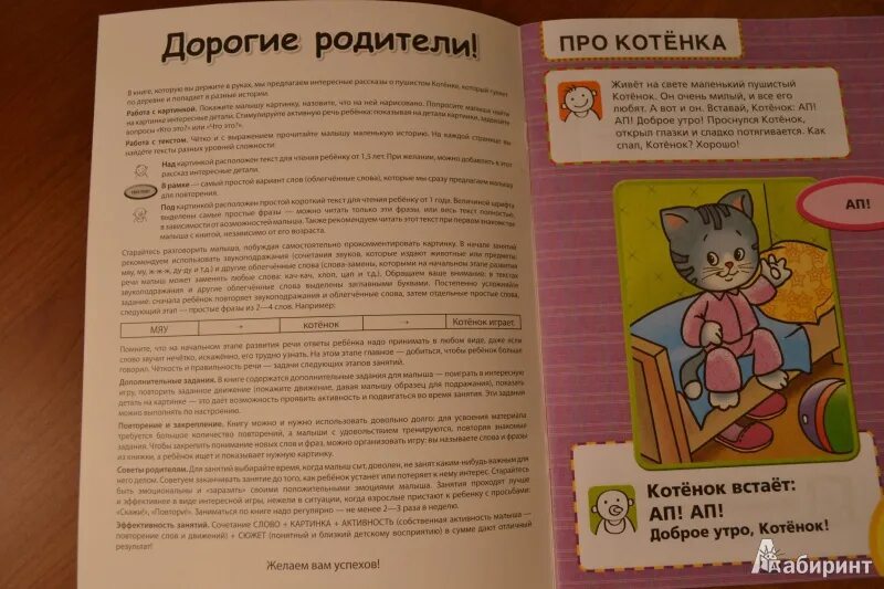 История про маленького котенка. Сочинение про котенка. Маленькие котята с книжками. Маленький рассказ про котенка.