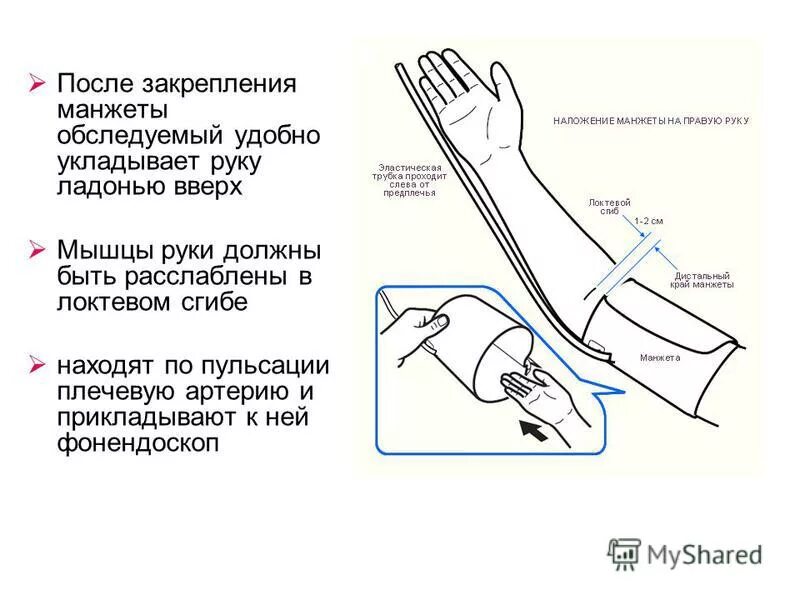 Можно ли мерить на озоне