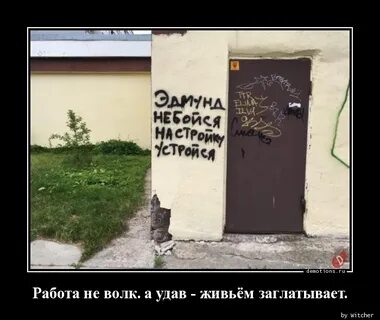 Работа не волк работа work