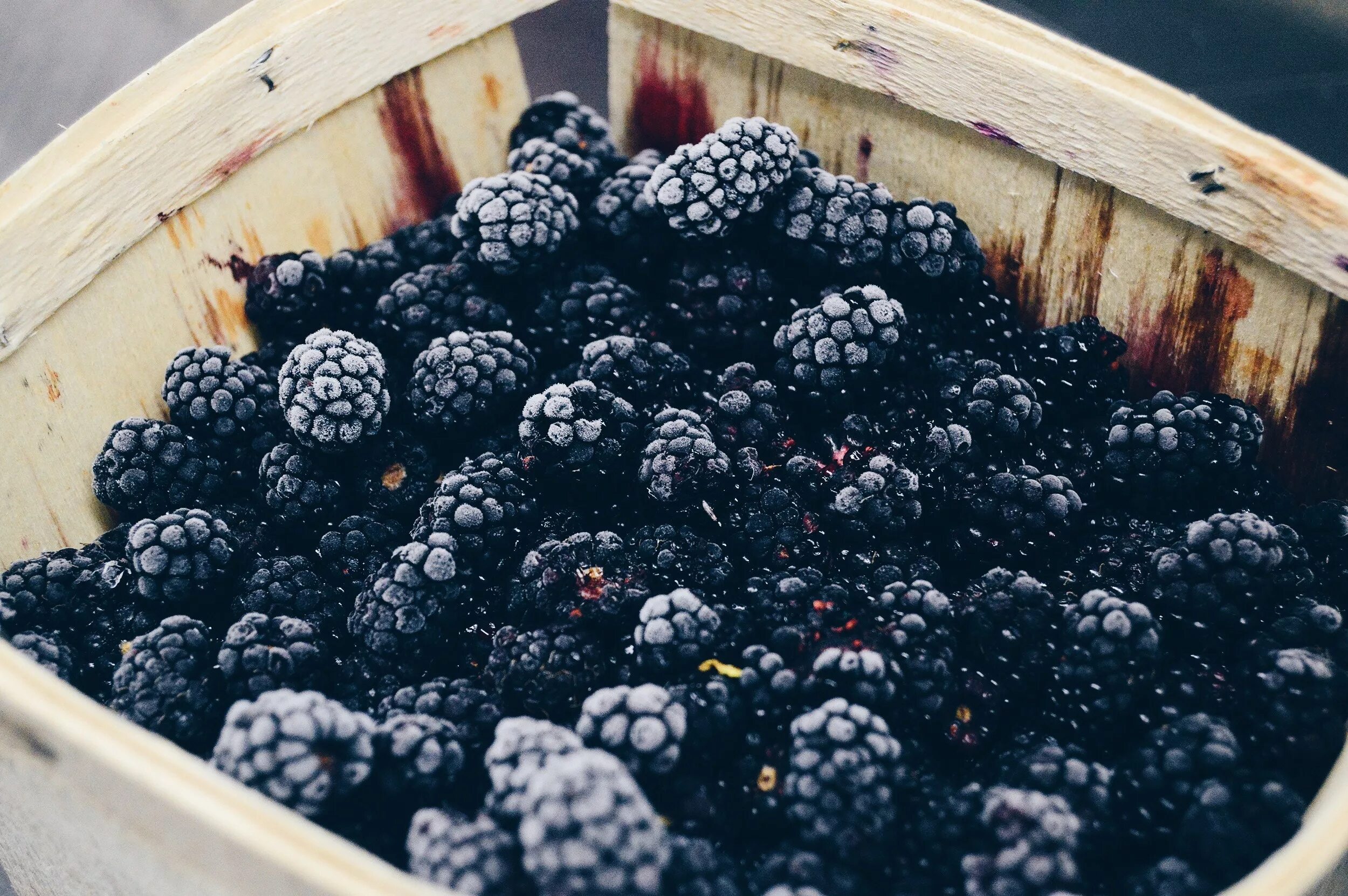Ежевика ожина. Ежевика натчез. Ожина. Ежевика таммел берри. Ежевика ягода.