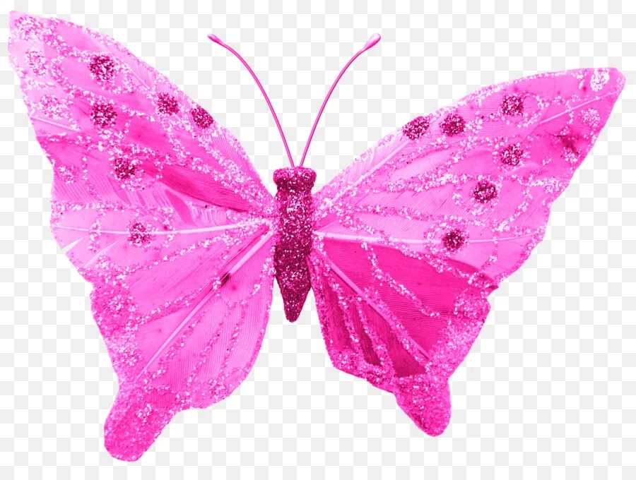 Белая розовая бабочка. Розовые бабочки. Розовые бабочки на прозрачном фоне. Бабочки ярко розовые. Розовые бабочки на белом фоне.