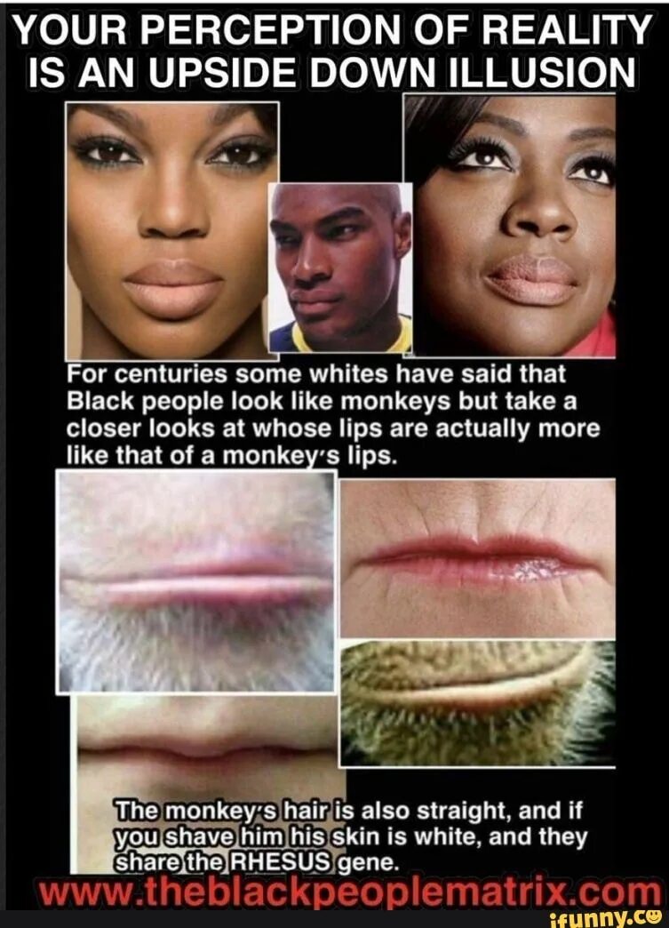 When the story of the wild west began and why people went west ответ. Fall out boy centuries обложка. 4 к софт скиллс. Коммодор перри. Эпоха возрождения мем.