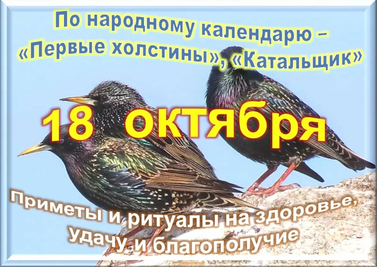 18 октября какого года