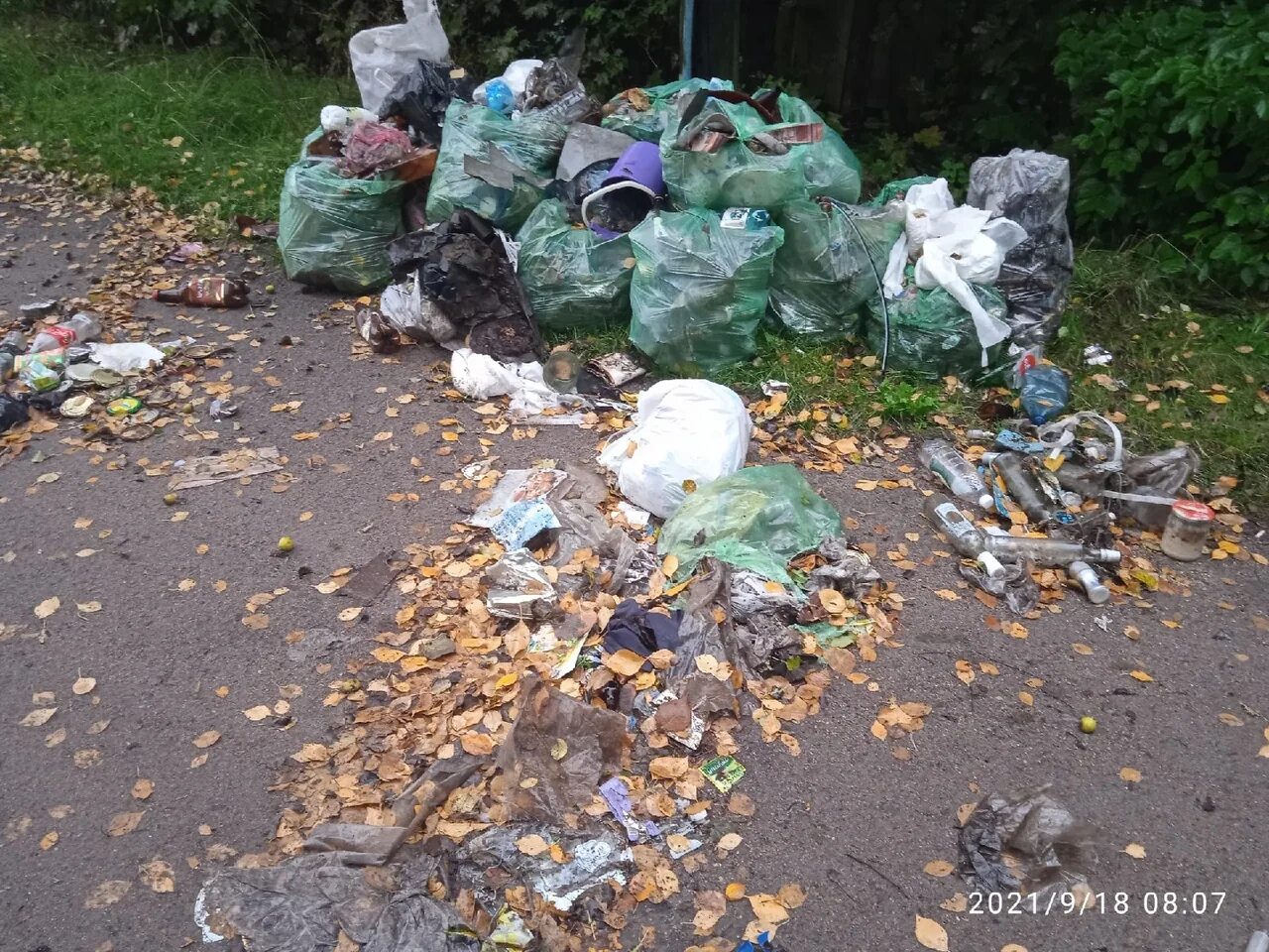 Тбо торбеево. В грозном выявляют стихийные свалки. Когда выйдет битва на свалке. Когда выйдет битва на свалке. Отходы.
