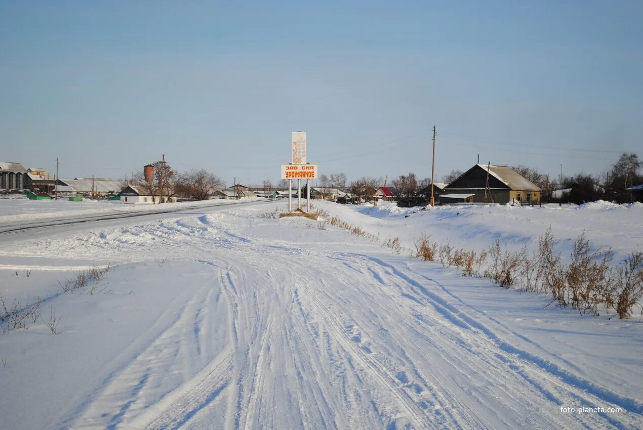 Село советское Алтайский край. Урожайное Советский район Алтайский край. Кислуха Алтайский. Долинка Алтайский край.