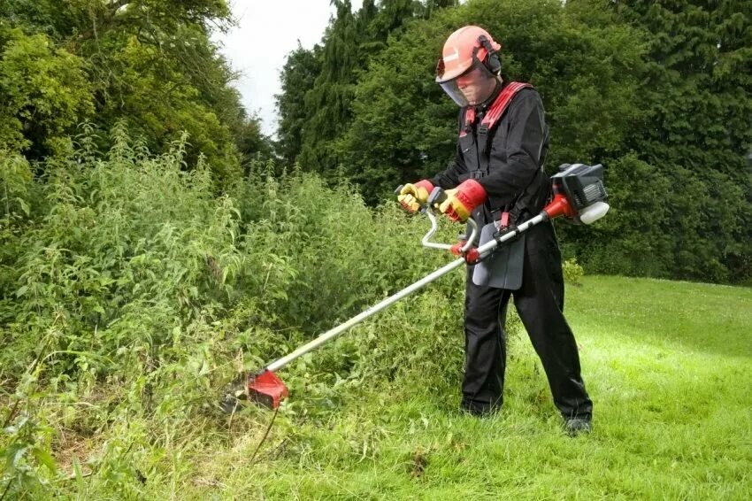 Покос травы триммером цена за сотку. Триммер Brush Cutter bc3401. Скос травы. Покос травы. Покос травы триммером.