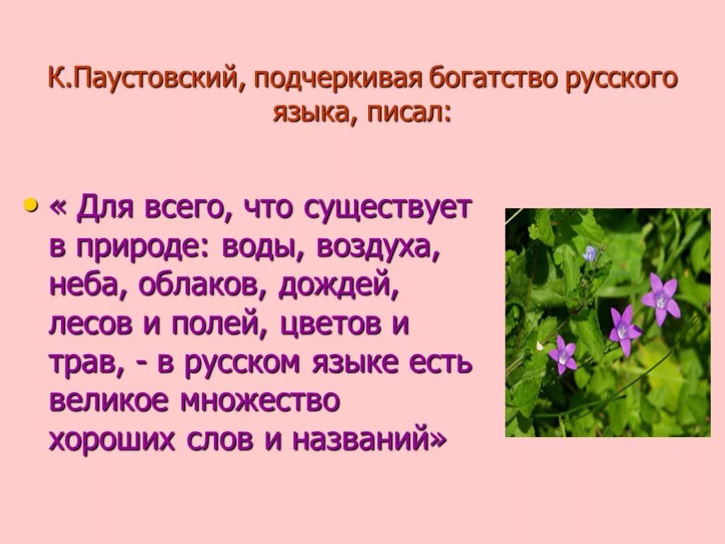 Цветы на паустовского. Паустовский писал :для всего существует в природе. Стихи Паустовского 3 класс. Для всего что существует в природе воды воздуха неба.