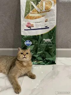 Низкозерновые корма для кошек