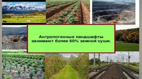 Какие ландшафты относятся к естественным