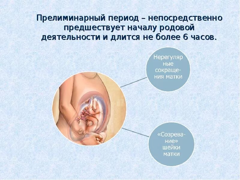 Первые схватки длятся. Периоды родовой деятельности. Прелиминарный период родов. Патологический прелиминарный период. Патологический прелиминарный период длится.