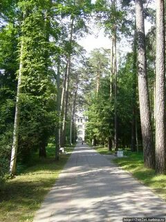 Сестрорецкий курорт