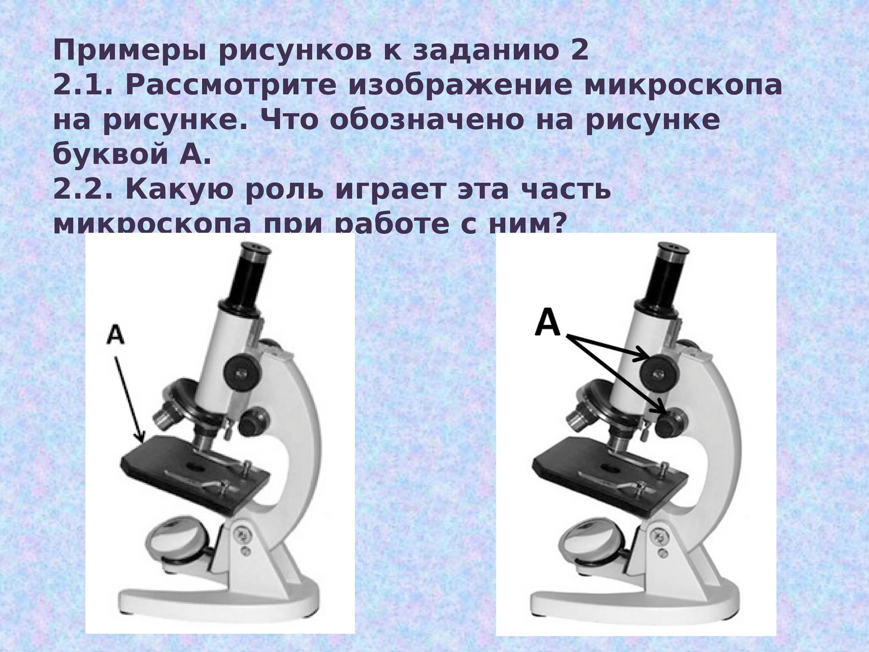 Цифровой микроскоп 5 микроскоп ВПР 5 класс. ВПР 5 биология световой микроскоп. Части микроскопа ВПР биология 5. Детали цифрового микроскопа. Цифровой микроскоп впр 5 класс биология ответы