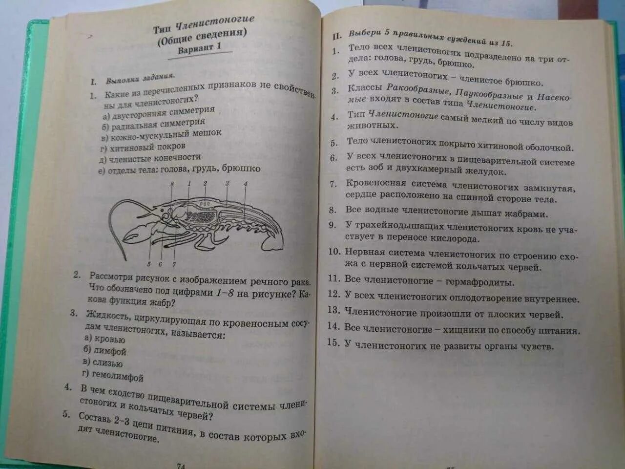 Тест паукообразные 7 класс. Проверочная работа Тип членистоногих. Тест по биологии. Тест Членистоногие 7 класс биология. Тест по биологии 7 Тип Членистоногие.