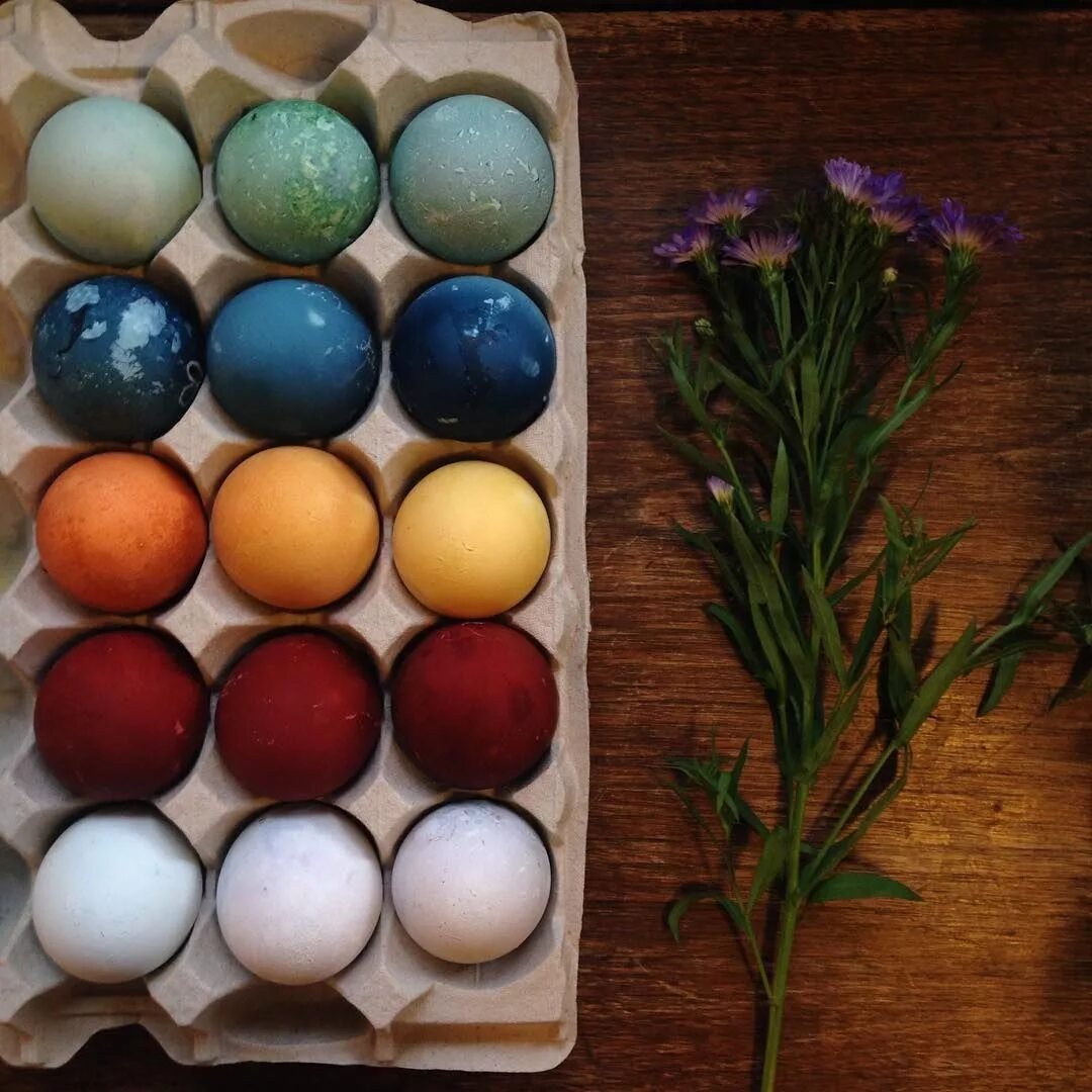 Натуральные красители для яиц. Натупаььные краситкли дл яяиц. Окрашивание яиц натуральными красителями. Естественные красители для пасхальных яиц. Как покрасить яйца без красителей