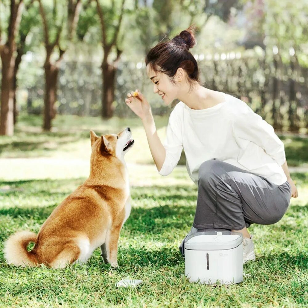Xiaomi Smart Pet Fountain. Поилка умная Xiaomi Smart Pet Fountain. Xiaomi Smart Pet Water Fountain. Поилка автоматическая Xiaomi Smart для питомцев. Xiaomi pet fountain