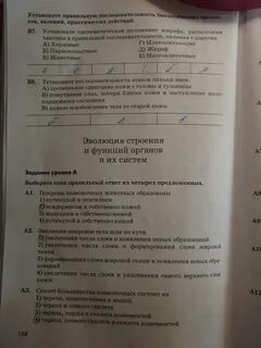 Эволюция строения и функций