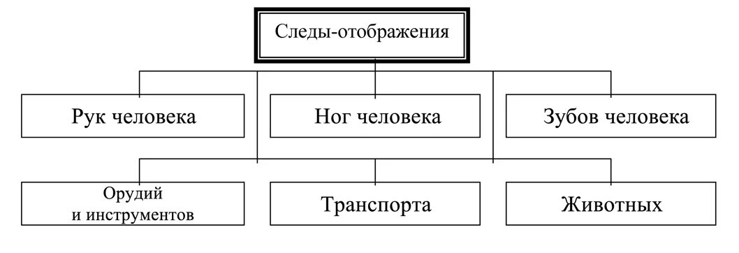 Следы отображения предметы