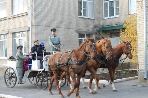 Ростовская область субсидии