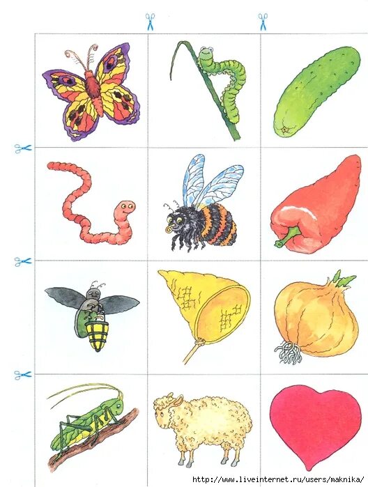 Дифференциация звуков ц и ч для дошкольников. Рисунки со звуком ч. Автоматизация и дифференциация звуков ц ч. Звук ц ч. Буква ч для дошкольников.