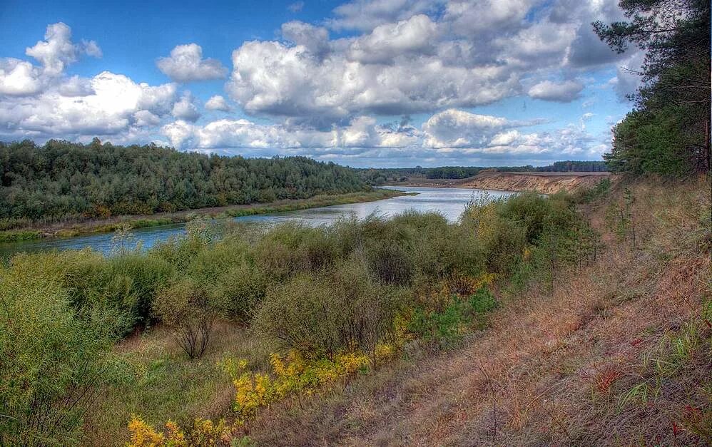 реки волга,енисей,лена,обь и амур. волго балтийский канал канал на карте. реки федерального значения. река битюг приток дона. река битюг в лосево.