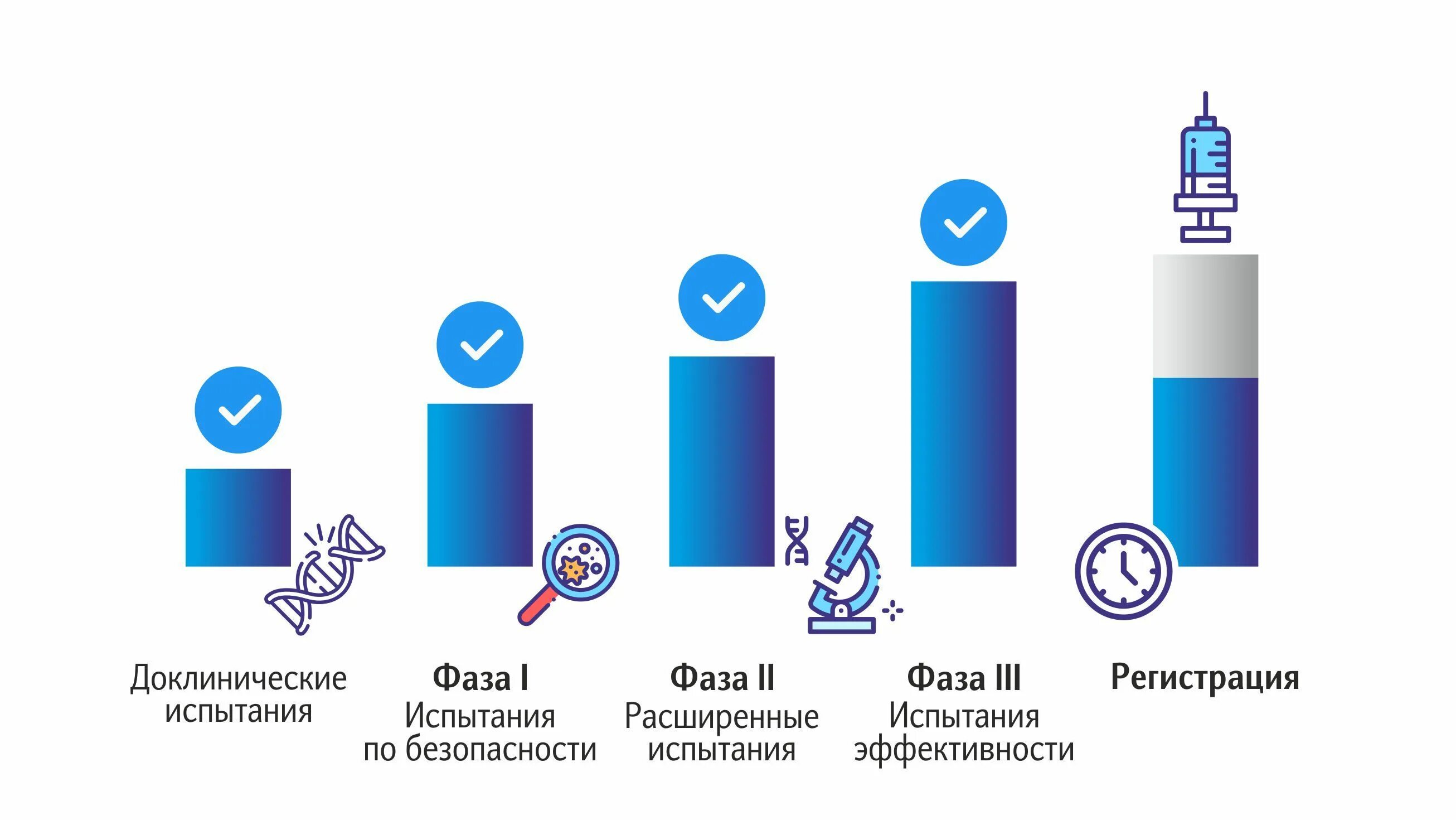 Этап вакцины. Фазы разработки вакцины. Фазы исследования вакцин. Этапы испытания вакцин. Стадии клинических испытаний вакцин.