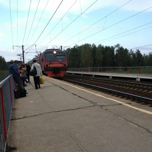 Погода в тарасихе. Станция Тарасиха. Железнодорожная станция Тарасиха. Станция Тарасиха Нижегородская. Тарасиха станция станции.