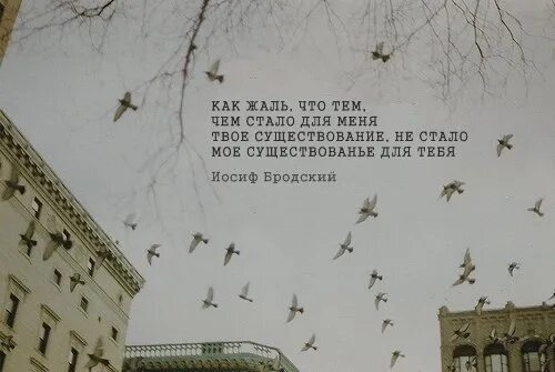 Что не встретились с тобою раньше песня. Как жаль что тем чем стало для меня. Как жаль что то чем стало для меня твое существование. Как жаль что тем Бродский. Бродский как жаль что мое существование.