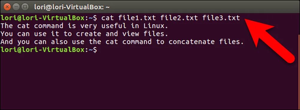 Файл 1 txt. Linux terminal cat. команда cat в терминале. как создать файл с помощью команды cat. linux terminal commands cat*.