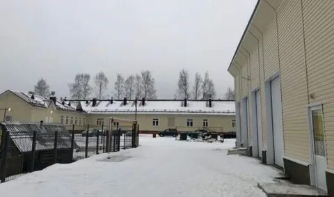 Плесецкая црб