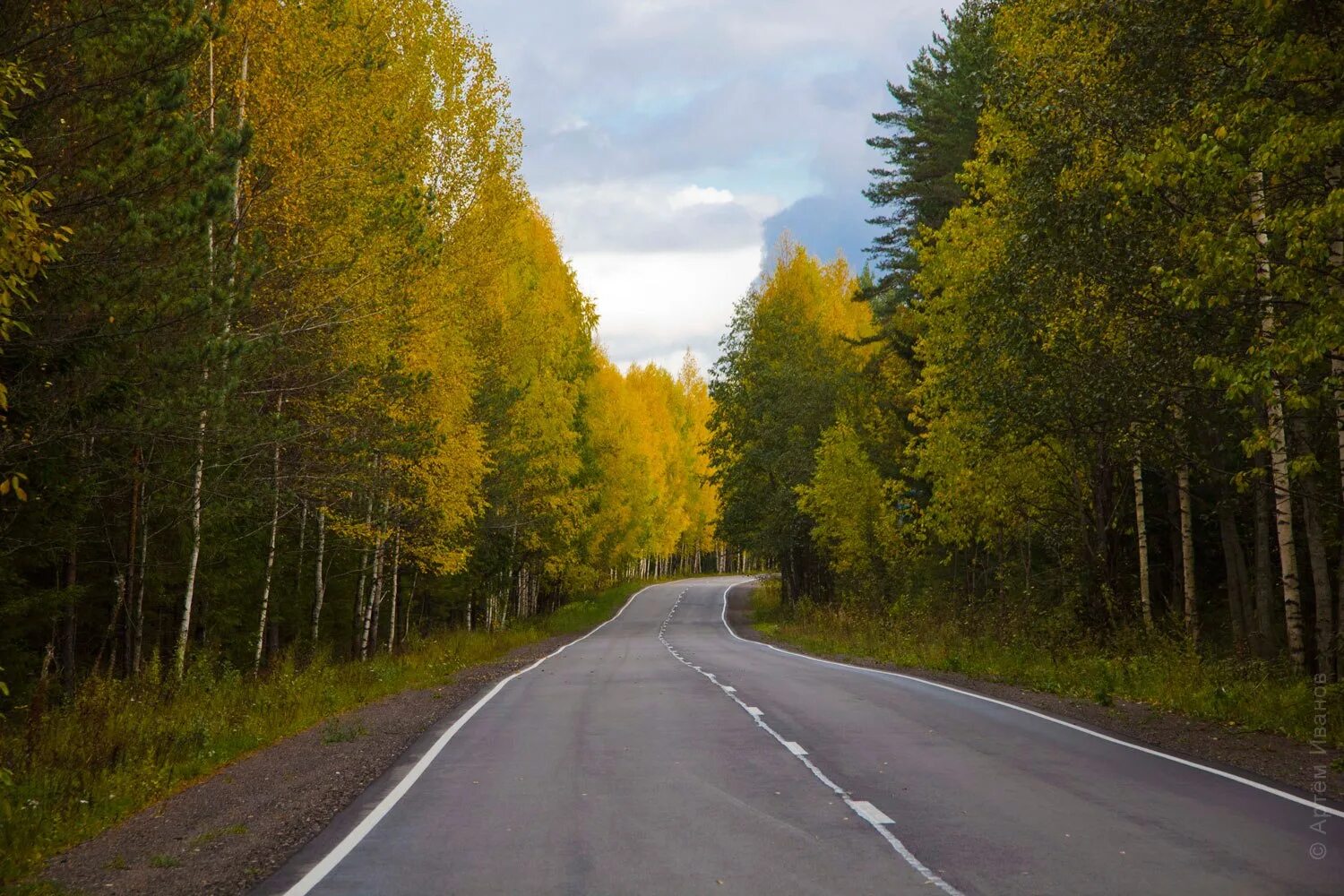 Осенняя дорога. Красивые дороги Подмосковья. Лесные дороги России. Дорога лес Россия.